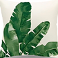 Tropical Leaves Cushion Covers Pack of 4