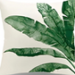 Tropical Leaves Cushion Covers Pack of 4